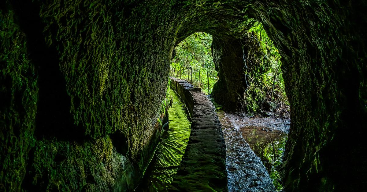 Île aux fleurs, éden des randonneurs... Voyage à Madère, sur les chemins du paradis