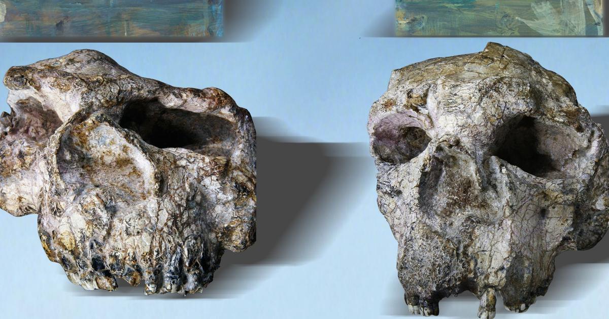 Des chercheurs mettent en doute la datation de l’Homo erectus : il aurait conquis la Chine plus tôt qu’on ne le pensait