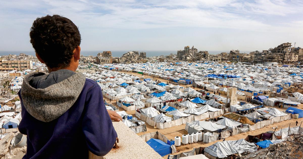 «Nos enfants méritent mieux que la mort et la violence» : en Palestine, comment reconstruire une paix durable avec Israël