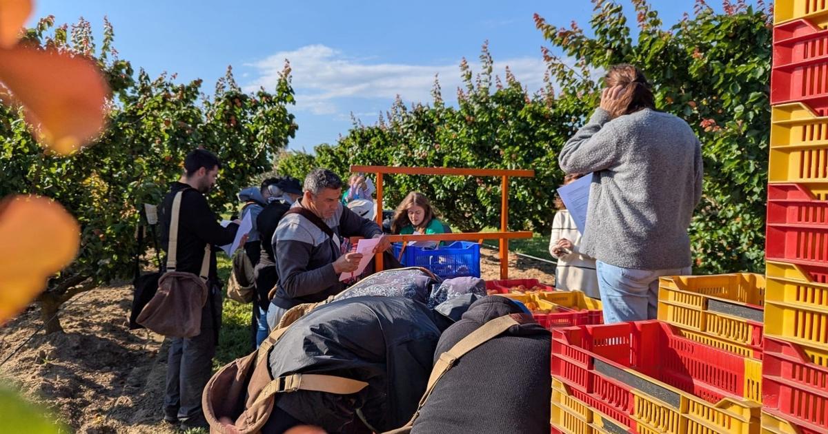 Le changement climatique, nouveau risque majeur au travail en agriculture