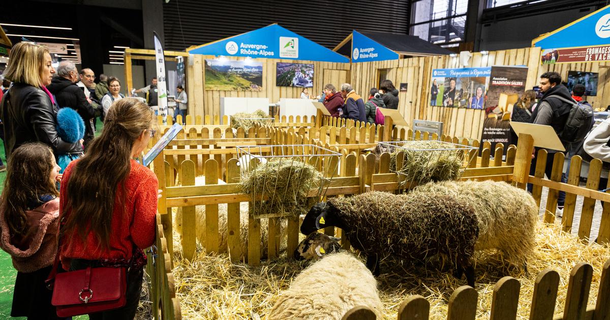 Salon de l’agriculture : une fréquentation en chute pour l’édition 2026