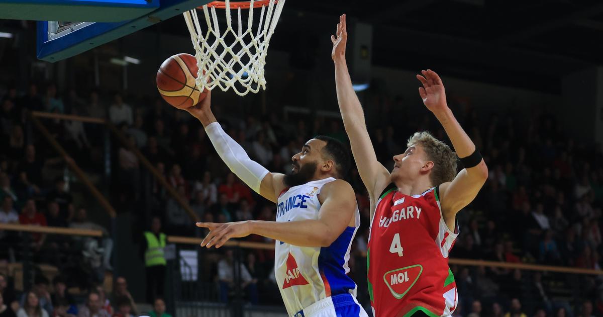 Basket : contrat rempli pour les Bleus, vainqueurs de la Hongrie