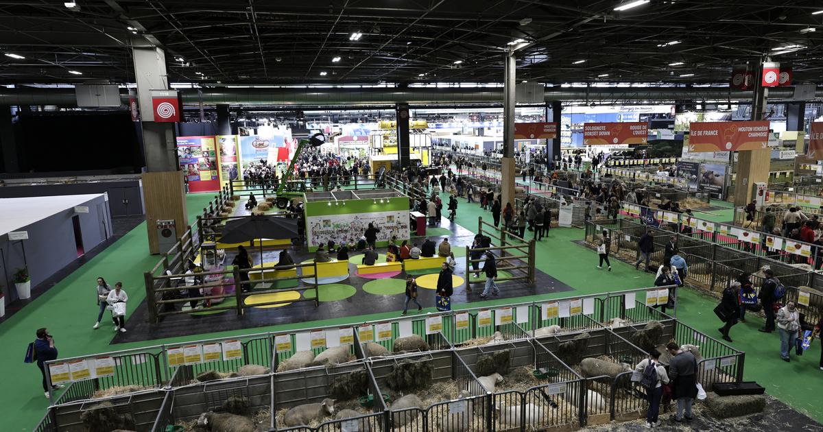 Salon de l'Agriculture : la fréquentation chute de 27,9% cette année en l'absence des bovins