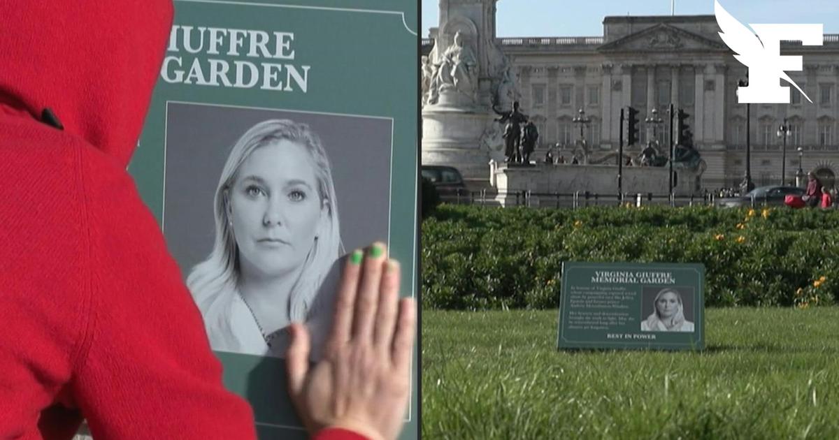 Affaire Epstein : des militants installent des panneaux à la mémoire d’une des victimes devant Buckingham Palace