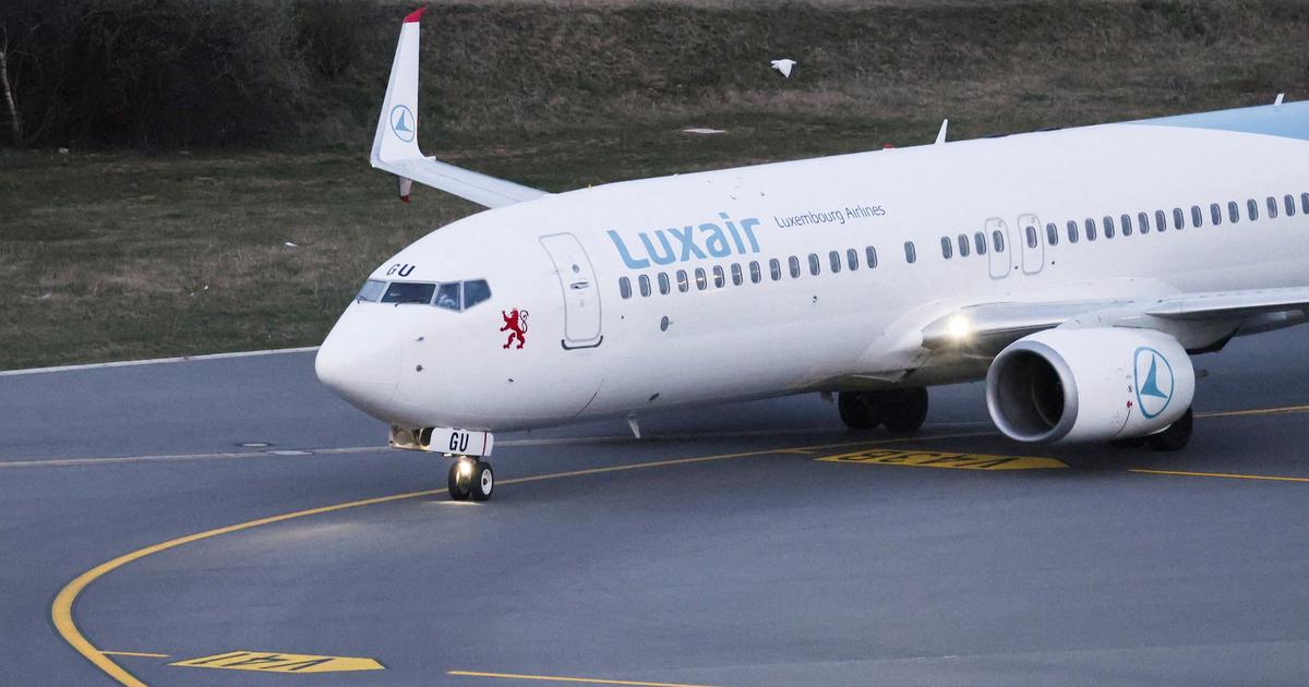 Véhicule blindé avec garde du corps, bus, vol charter... Ces sociétés privées mandatées pour « exfiltrer » les salariés bloqués au Moyen-Orient