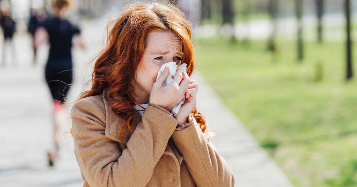 Un impact direct entre les allergies aux pollens et les résultats scolaires, selon une nouvelle étude