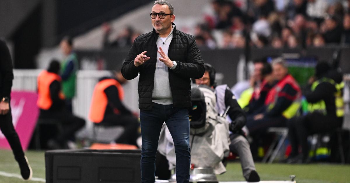 Ligue 1 : «Je n’y prête pas beaucoup d’importance», Franck Haise répond aux banderoles insultantes des supporters niçois