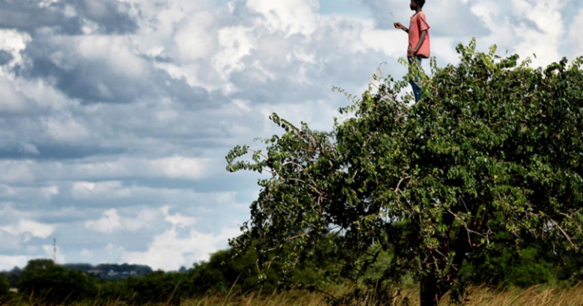 La liberté au cœur du Printemps des Poètes qui débute dans plus de cinquante pays, dont la France