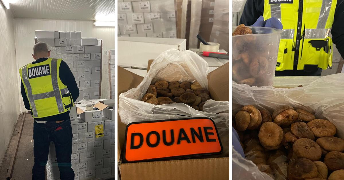 Du port au laboratoire : dans les pas des douaniers de Marseille qui œuvrent pour notre sécurité alimentaire