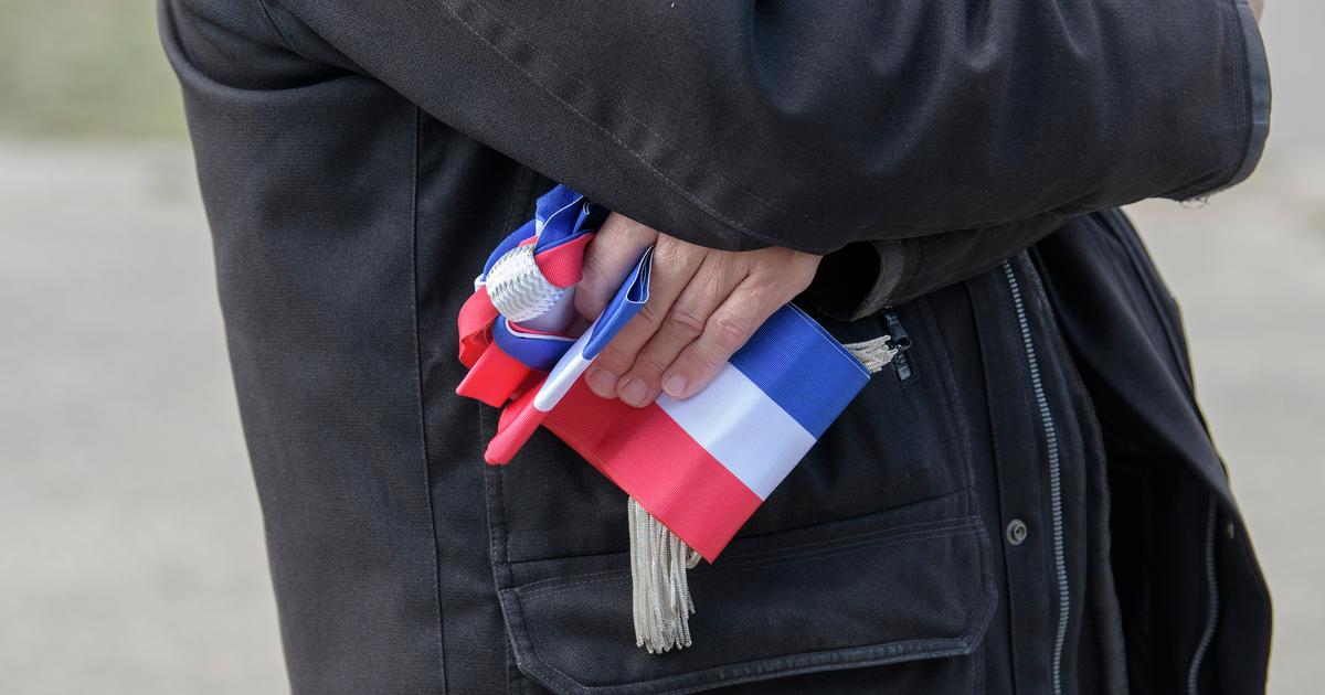 Municipales 2026 : à la fois vignerons et candidats, ils regorgent de projets pour soutenir la viticulture