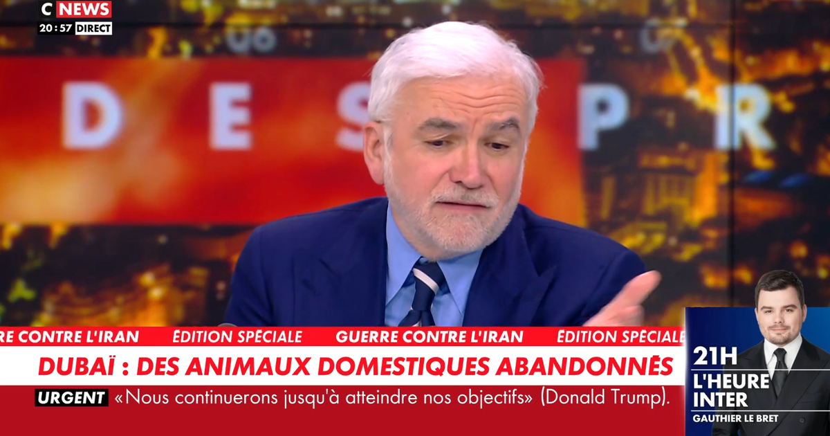 «C’est un scandale d’abandonner ses chiens et ses chats» : Pascal Praud critique les influenceurs qui fuient Dubaï