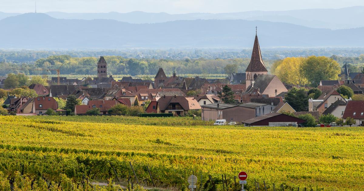 Municipales : «La commune est encore le lieu de la démocratie de la poignée de main»