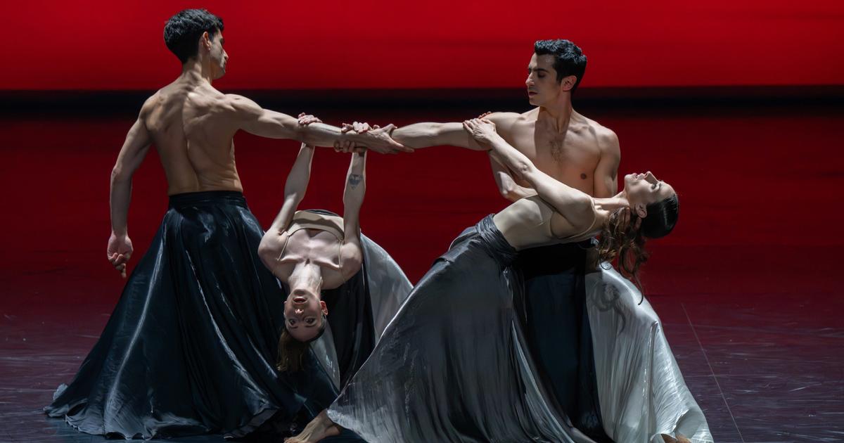 Danse : à Toulouse, le ballet se jette dans le Lac avec moins de cygnes