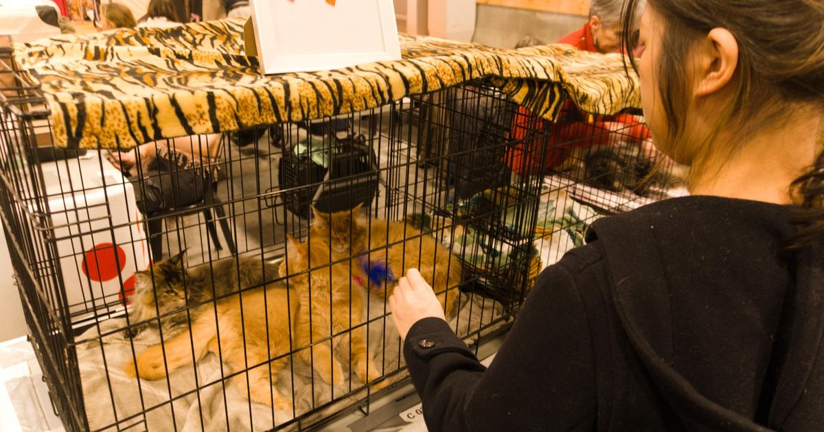 Le Paris Animal Show au défi du bien-être animal