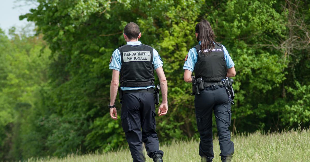 Maine-et-Loire : un homme enlevé chez lui, passé à tabac puis abandonné nu dans un bois