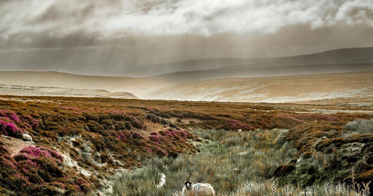 Voyage dans le Northumberland, l’Angleterre des confins