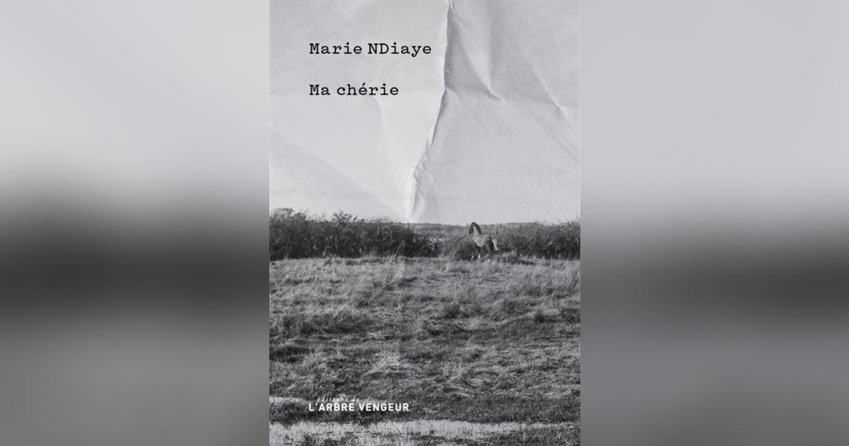 Ma chérie, de Marie NDiaye : un mot doux qui se transforme en violence