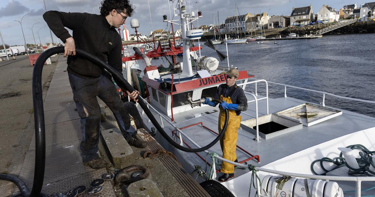 «Certains navires opèrent à perte et d’autres vont rester à quai» : face à l’explosion des prix du gazole, les pêcheurs craignent le pire