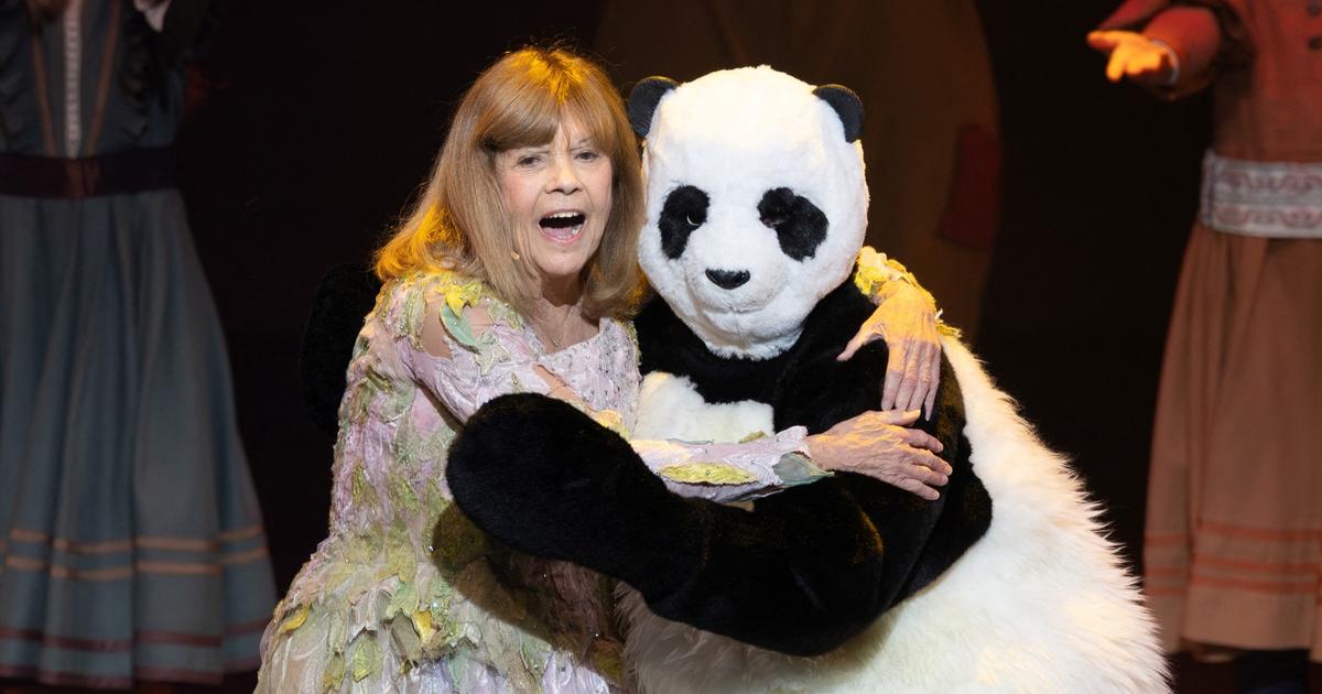 « C’est le plus beau cadeau » : Chantal Goya retrouve son panda, un an après le vol du costume