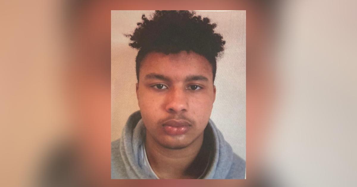 Viol avec torture de Mégane à Cherbourg : Oumar Ndiaye fait appel de sa condamnation à 30 ans de prison
