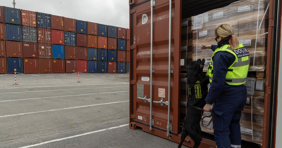 Coke en stock à Dunkerque : comment le troisième port de France est devenu la cible des narcotrafiquants