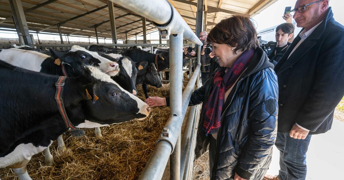 Mégabassines : Annie Genevard plaide l’apaisement pour en finir avec la «guerre de l’eau»