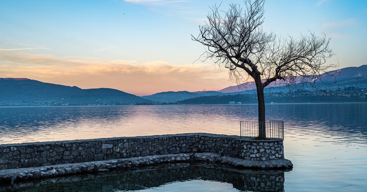 «Elle représente un risque pour les autres espèces» : les lacs alpins face à l’invasion d’une petite moule d’eau douce ukrainienne