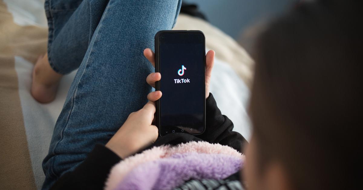 Interdiction des réseaux sociaux aux moins de 15 ans : pourquoi la proposition de loi divise