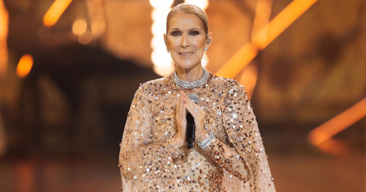 Celine Dion in concert: how much do tickets cost at Paris La Defense Arena?