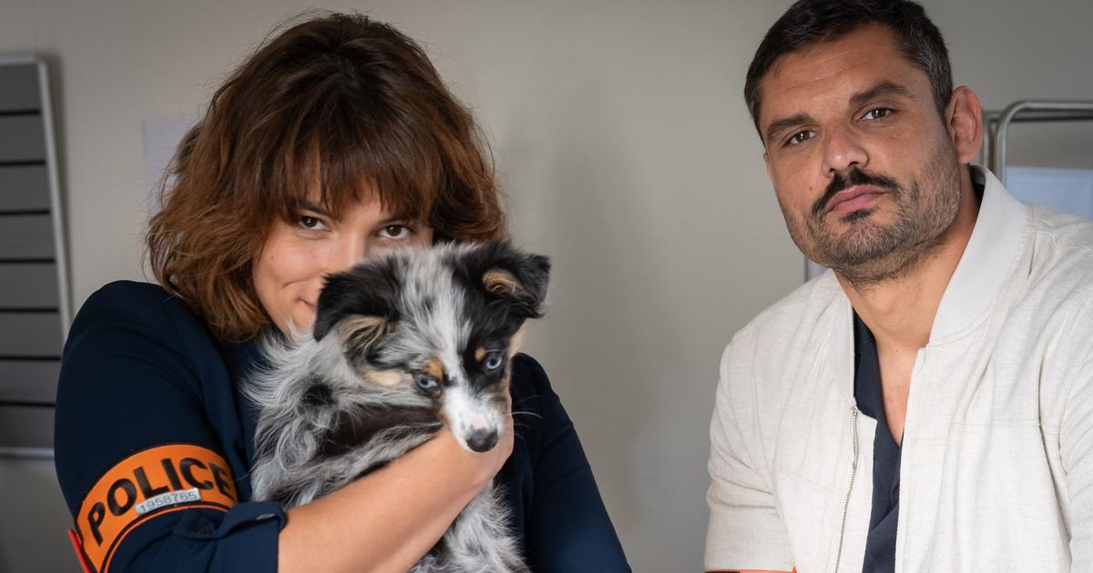 Audiences : franc succès pour les débuts de Florent Manaudou dans A priori sur France 3