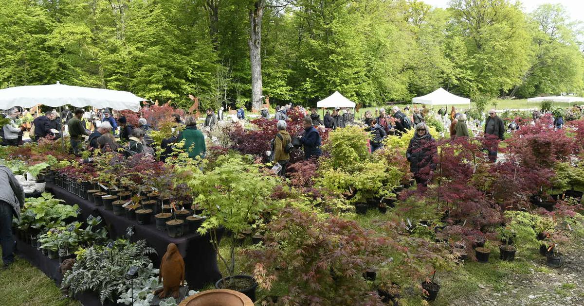 Barbizon Fete Des Plantes