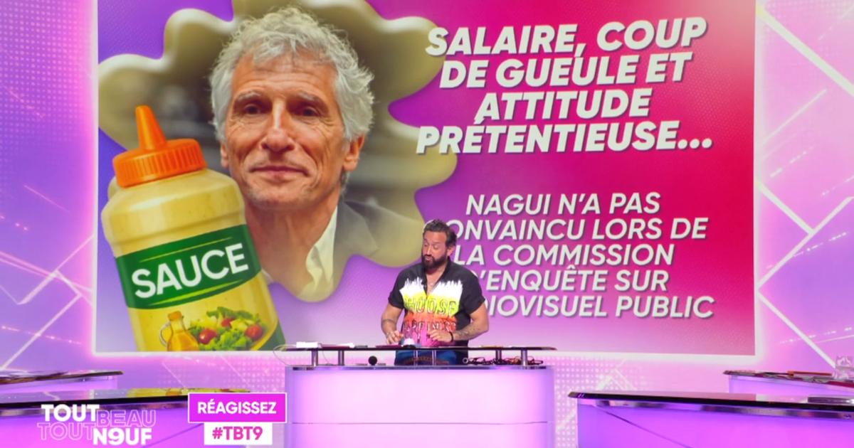 «Insupportable», «Pas préparé», «Prétentieux»... Cyril Hanouna et les chroniqueurs de «TBT9» accablent Nagui