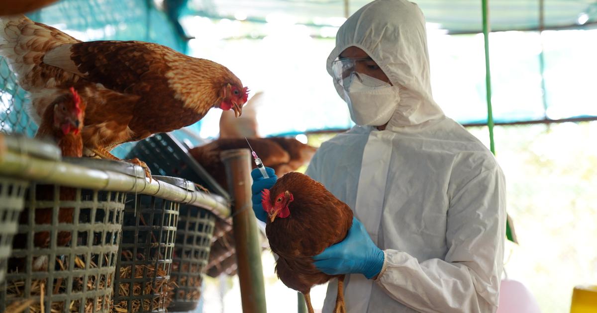 À Lyon, un sommet One Planet dédié à la prévention des crises sanitaires