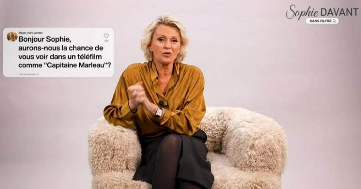 «Quelque chose qui m’amuserait beaucoup» : sur la toile, Sophie Davant se rêve actrice de télévision