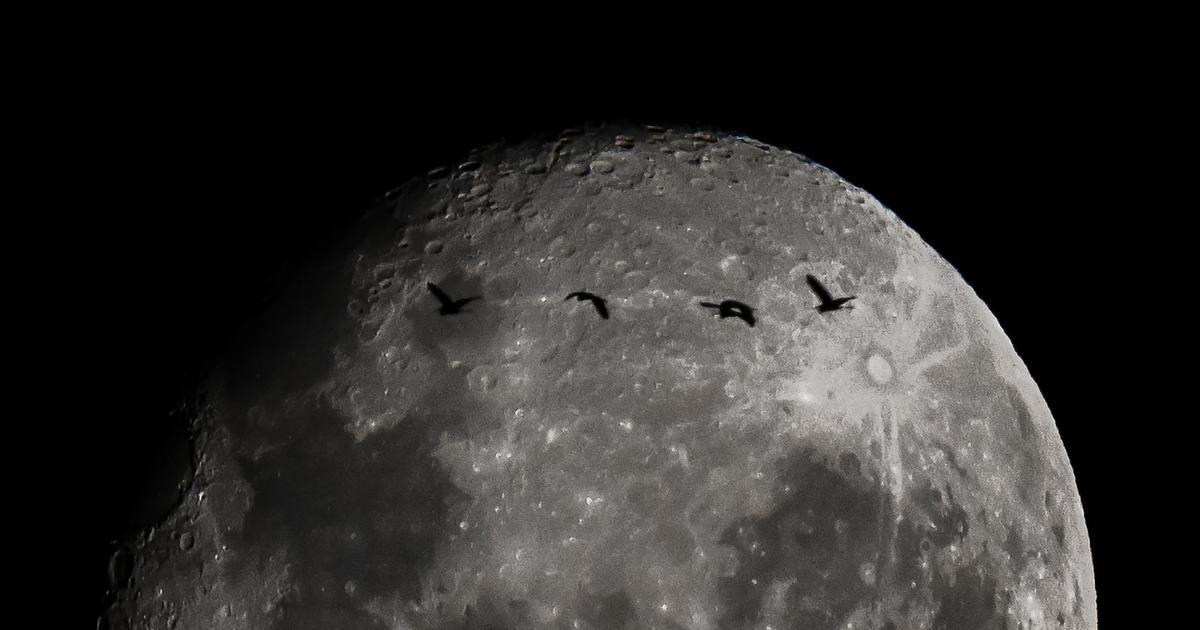 Mission Artémis 2 : dernière ligne droite pour les quatre astronautes, avant leur vol historique autour de la Lune