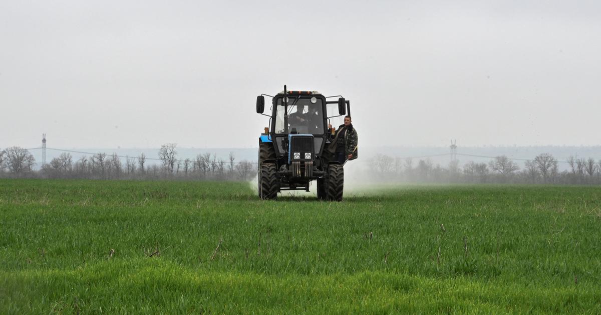 Marseille : prison ferme contre un fournisseur et un important maraîcher accusés de trafic de pesticides