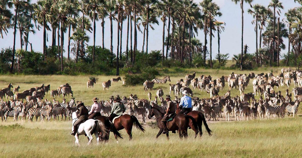 Immanent Travel: Adventure, Immersion, Emotion, Action