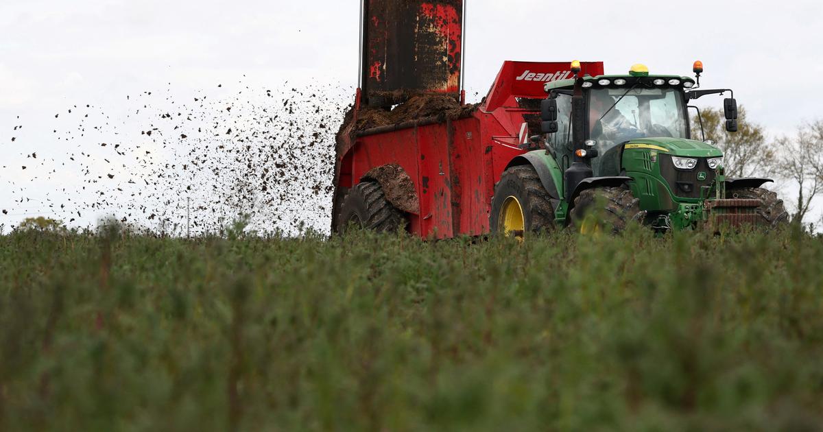 Inflation : le gouvernement annonce 20 millions d'euros supplémentaires pour les agriculteurs en difficulté