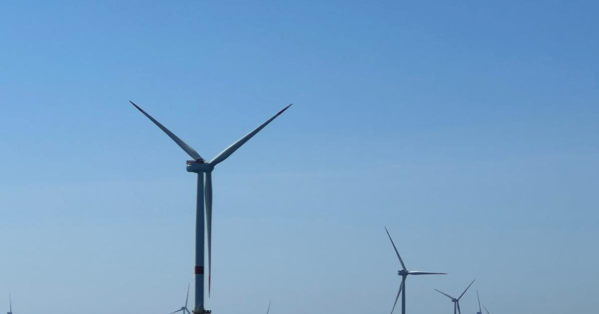 Ce rapport choc qui appelle à mieux encadrer les énergies renouvelables