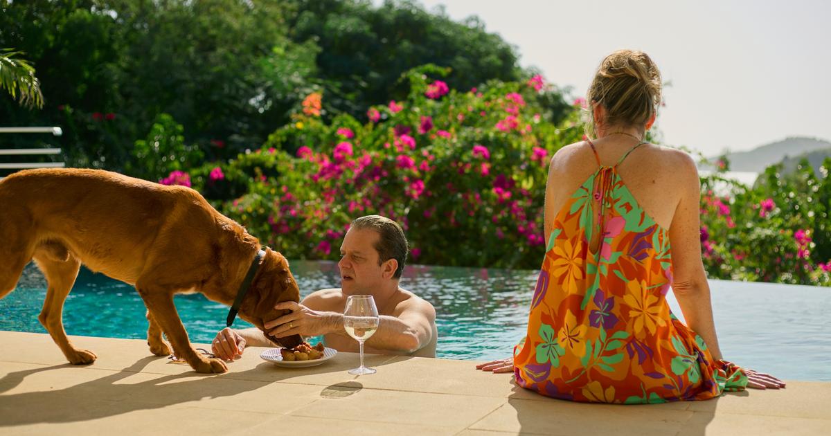 «Le chien va bien» : Netflix rassure ses abonnés après une scène choquante dans la série Bandi