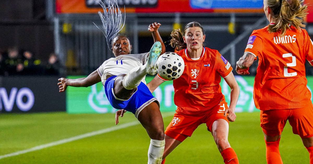 World Cup 2027: rough night for the Blues, beaten in the Netherlands, lose their first place