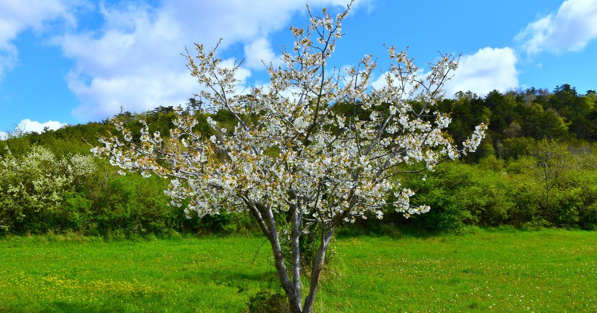 Météo de jeudi 16 avril : douceur et soleil pour la plupart du pays