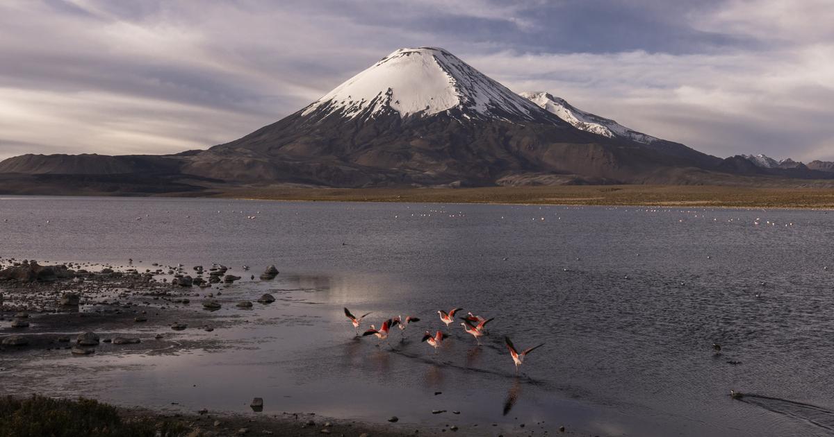 «Un succès de conservation » : La nature est plus résiliente dans les sites reconnus par l’Unesco