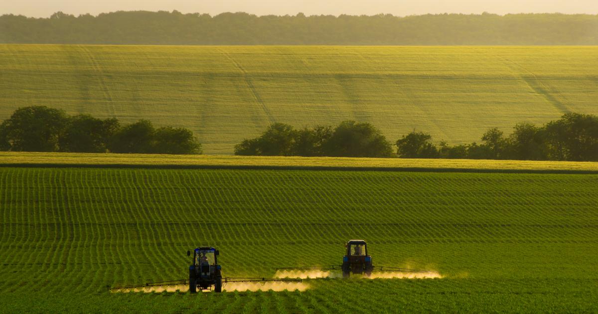 Le statut du fermage va-t-il résister au futur « tsunami sur le foncier agricole » ?