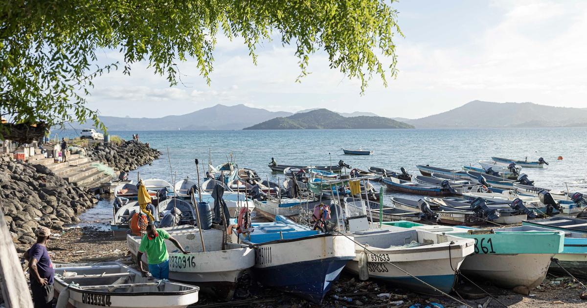 Leurs bateaux ne sont pas conformes aux normes européennes : à Mayotte, les pêcheurs bloqués à quai depuis novembre