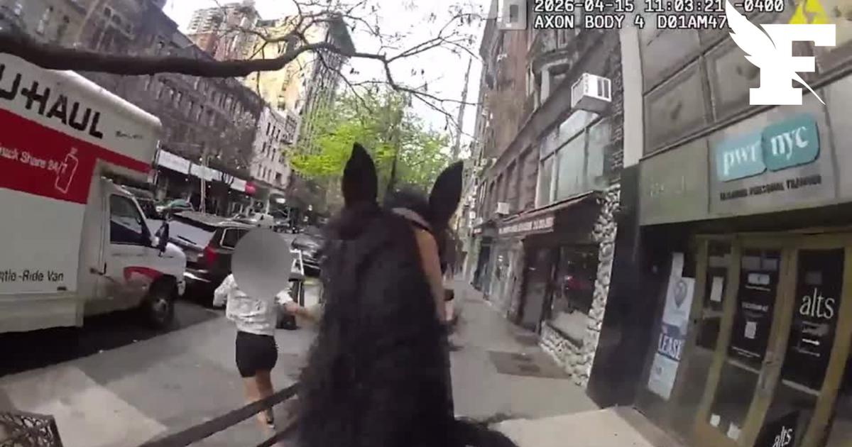 «Σταμάτα να τρέχεις!» : Αστυνομικός της Νέας Υόρκης καταδιώκει έφιππο και συλλαμβάνει τον ύποπτο κλέφτη