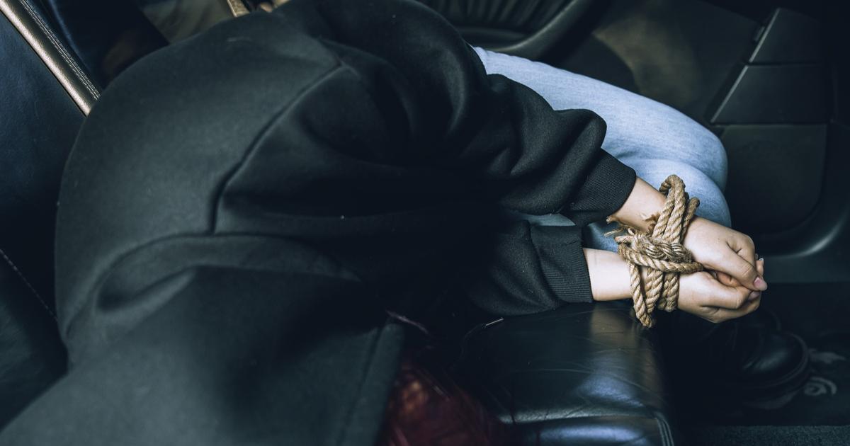 Cryptorapt dans l’Yonne : retour sur la traque éclair du GIGN pour libérer une mère et son fils, enlevés pour 400.000 euros