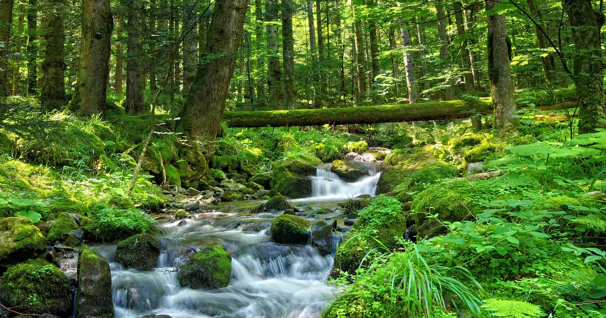 Vosges : un corps découvert dans une rivière
