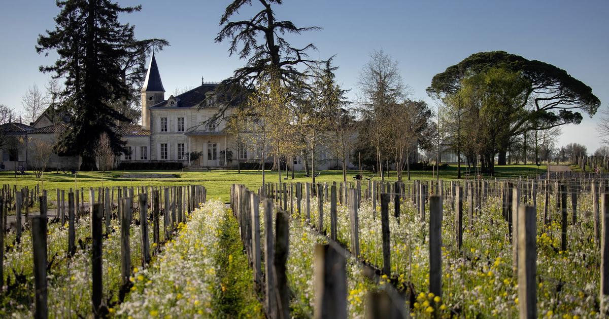 Ces 30 vins de Bordeaux qui ont tiré leur épingle du jeu en 2023, à partir de 14 euros