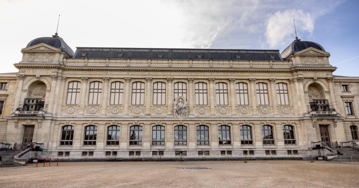 Le directeur du Muséum national d’histoire naturelle alerte sur l’état « catastrophique » de l’établissement